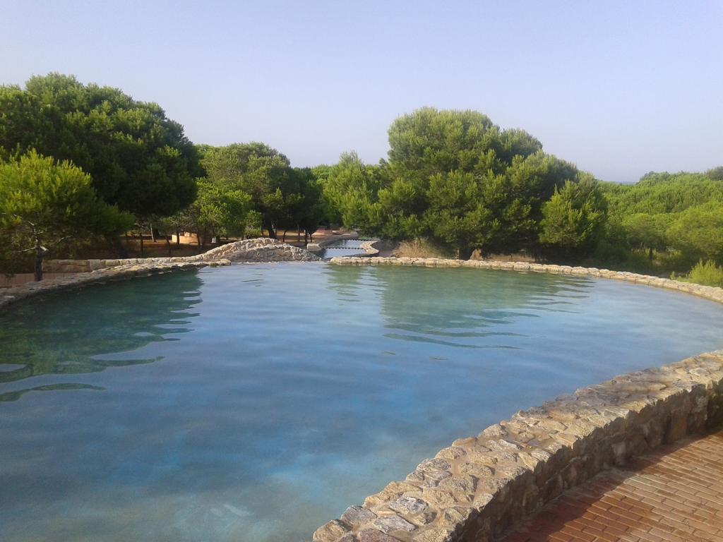 Apartement A La Mata ตอร์เรเวียคา ภายนอก รูปภาพ