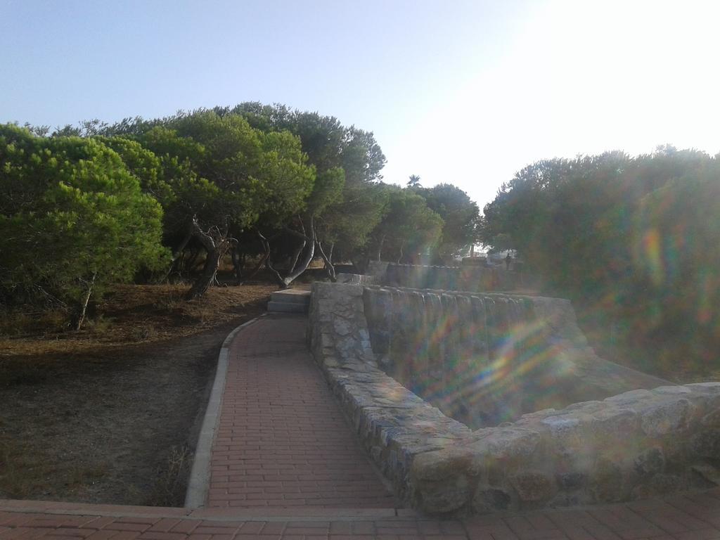 Apartement A La Mata ตอร์เรเวียคา ภายนอก รูปภาพ